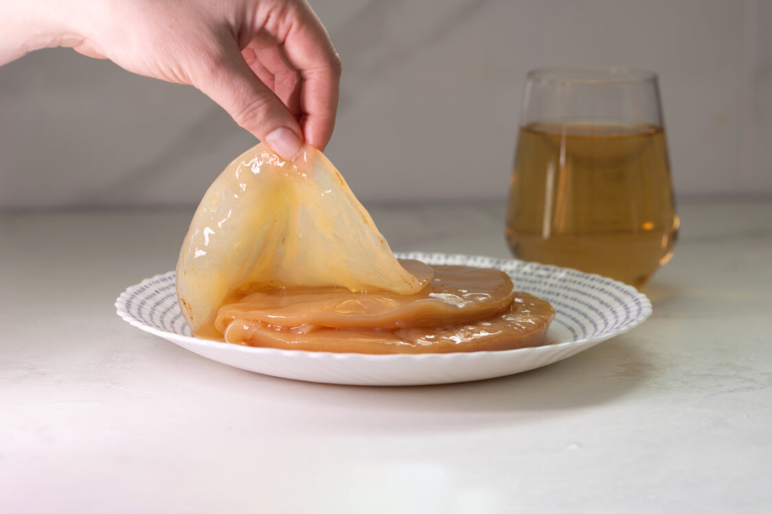 Houba SCOBY Houba SCOBY