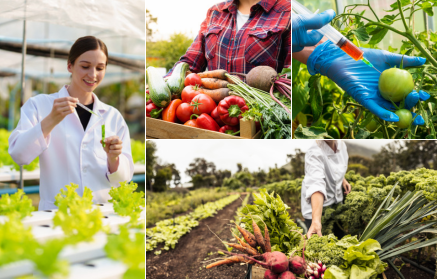 GMO Foods: Salvation or Threat?