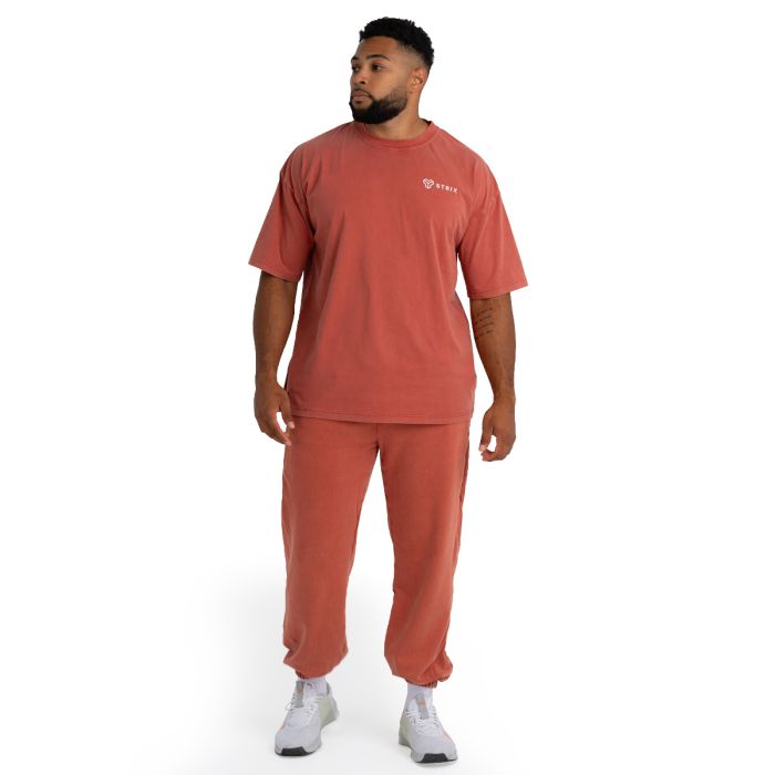 Joggers Washed Terra - STRIX XXL