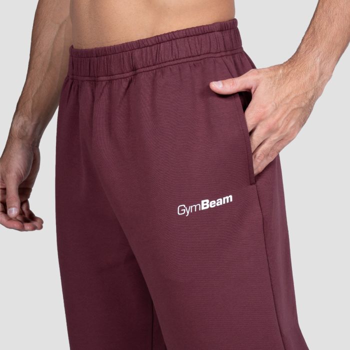 Relay Joggers Fig - GymBeam XL