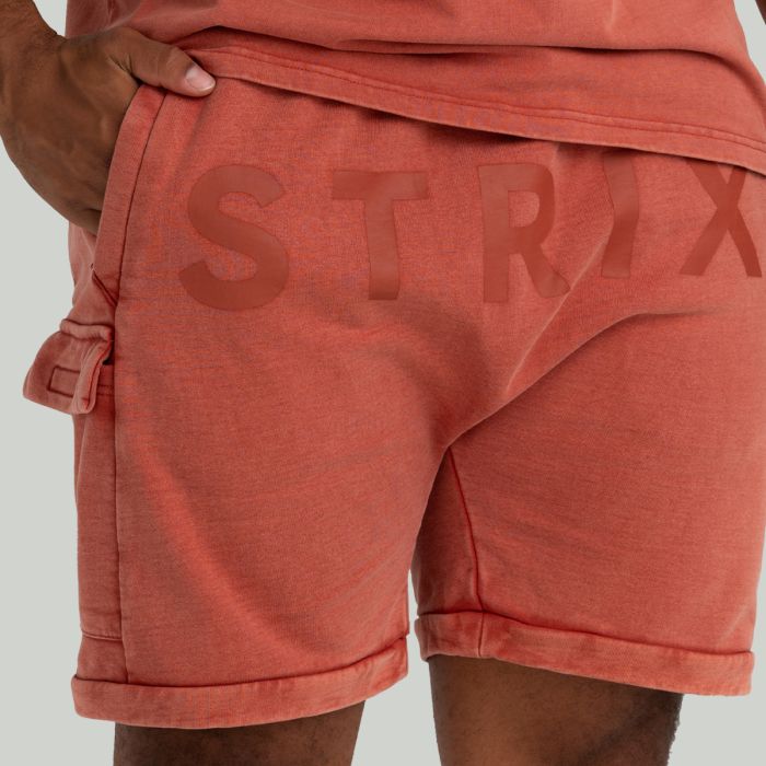 Shorts Washed Terra - STRIX XXL
